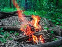 Пазл КОСТЕР