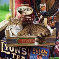 Пазл Кот Фотерджил