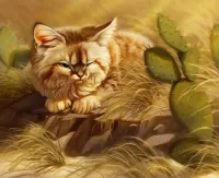 Пазл Кот и кактус