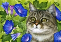 Пазл Ипомея и кот