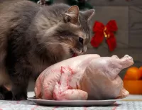 Пазл Кот и курица 