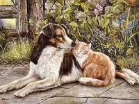 Пазл Кот и собака