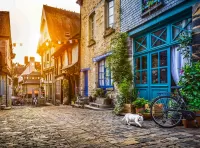 Пазл Кот и полвелосипеда