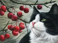 Пазл Кот и ягоды