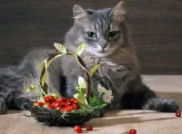 Пазл Кот и земляника
