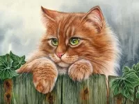 Пазл Кот Ирины 2