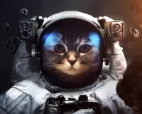 Пазл Кот-космонавт