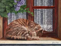 Пазл Кот на окне