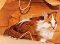 Пазл Кот в пакете