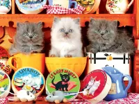 Пазл Котатя в чашках