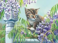 Пазл Котенок 