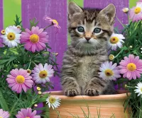 Пазл Котенок