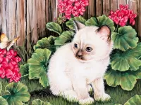 Пазл Котенок и бабочка
