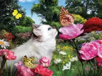 Пазл Котенок и бабочка