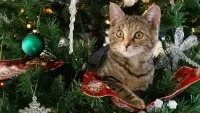 Пазл Котенок и елка