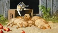 Пазл Котенок и щенки