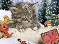Пазл Котенок и снег