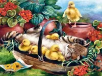 Пазл Котенок и утята