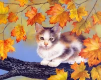 Пазл Котенок на дереве