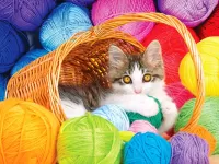 Пазл Котенок в корзинке