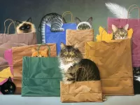 Пазл Коты в пакетах