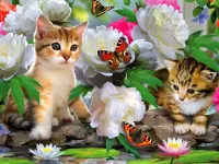 Пазл Котята и бабочки