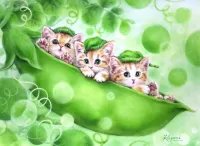 Пазл Котята и горох