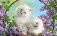 Пазл Котята и сирень