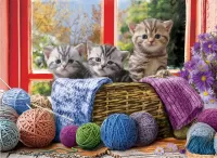 Пазл Котята в корзине