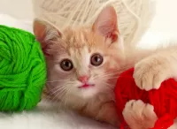 Пазл Котёнок и клубки