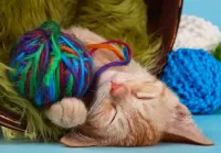 Пазл Котёнок и клубок
