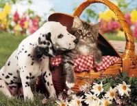 Пазл Котёнок и щенок 