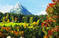 Пазл Красавица осень