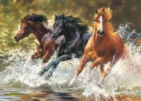 Пазл Лошади