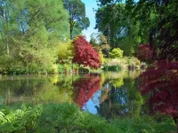 Пазл Скоро осень