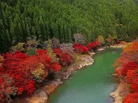 Пазл Красивая природа