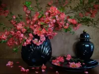 Пазл Красивые цветы