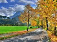 Пазл Краски осени