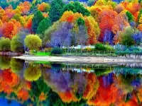 Пазл Краски осени