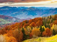 Пазл Краски осени