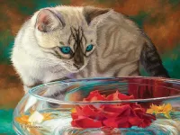 Пазл Красная роза