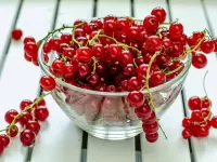 Пазл Красная смородинка