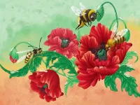 Пазл Красные маки