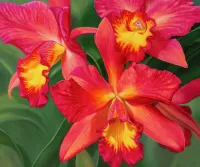 Пазл Красные орхидеи 