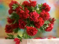 Пазл Красные пионы