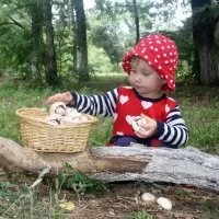 Пазл Красная шапочка