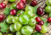 Пазл Крыжовник