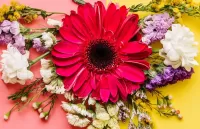 Пазл Крупная гербера