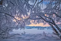 Пазл Кружевная зима