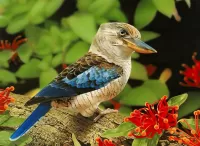 Пазл Кукабара